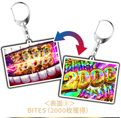 表面5 BITES（2000枚獲得）